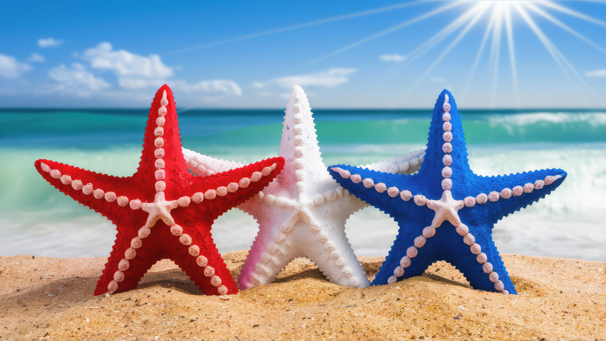 starfish on the beach in red white and blue