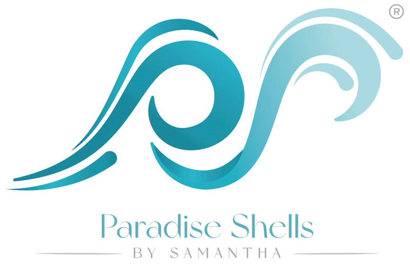 Paradise Shells by Samantha